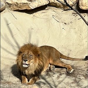 Meet your Posher, Francine